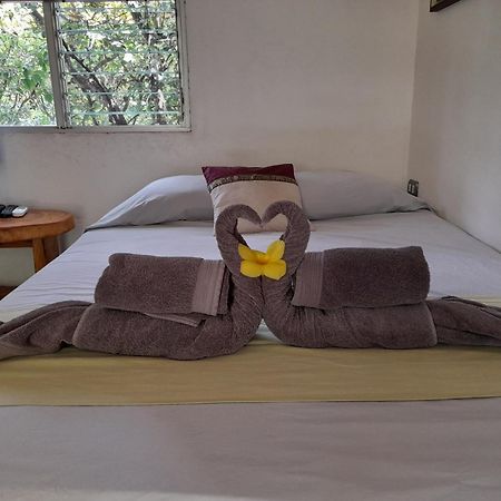 Hotel El Colibri Rojo - Cabinas - Le Colibri Rouge Cahuita Pokój zdjęcie