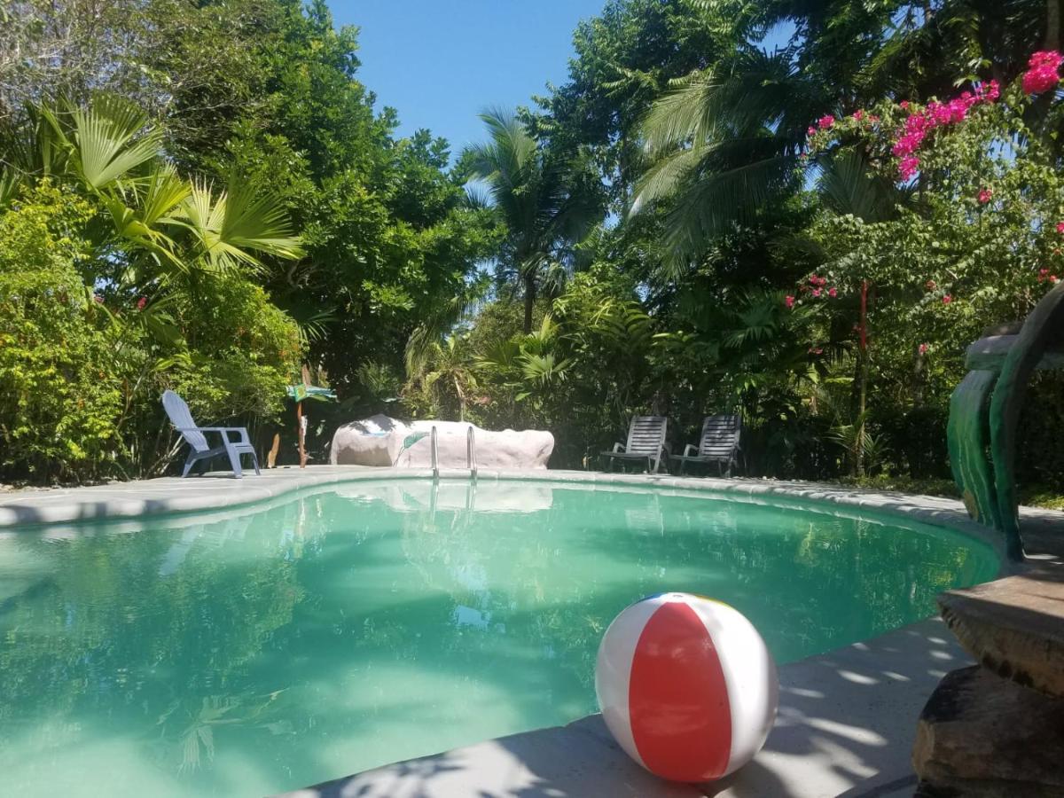 Hotel El Colibri Rojo - Cabinas - Le Colibri Rouge Cahuita Zewnętrze zdjęcie