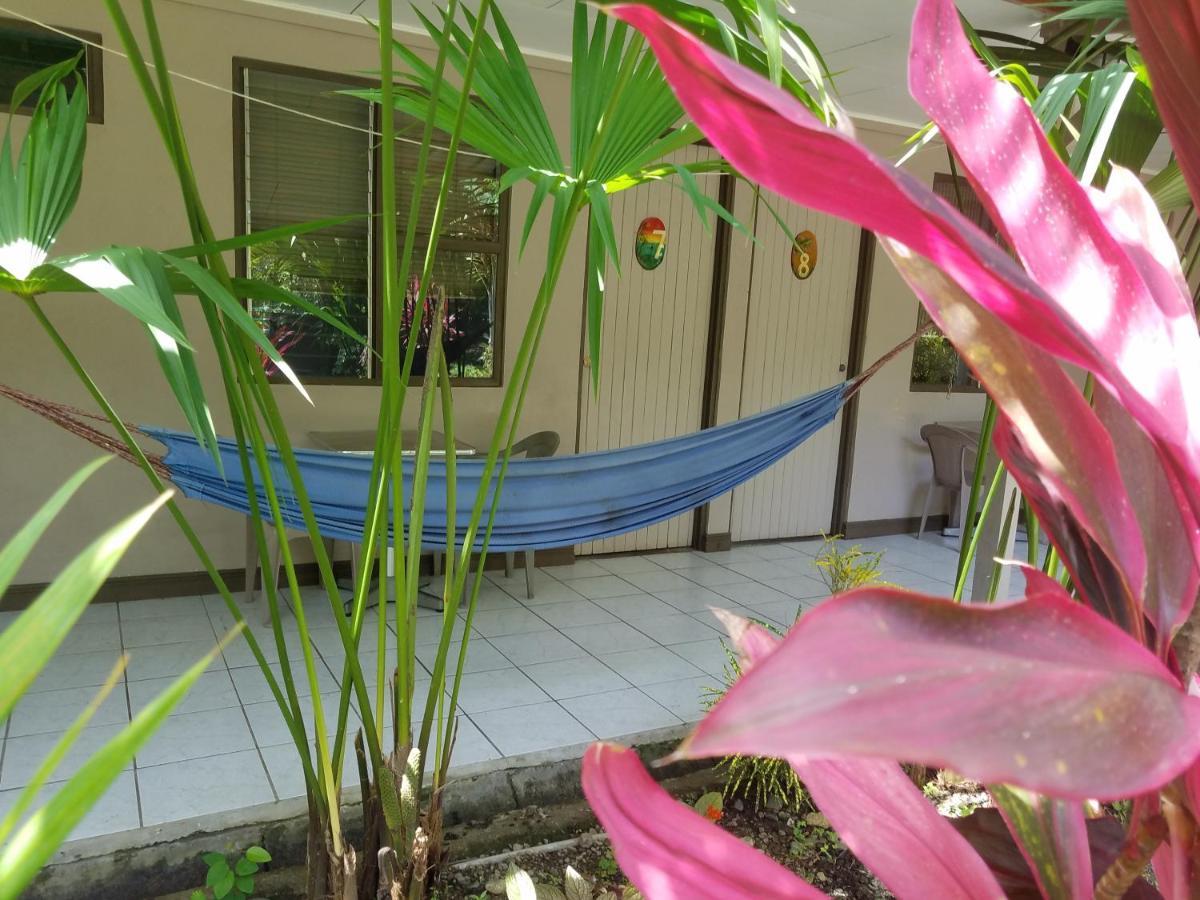 Hotel El Colibri Rojo - Cabinas - Le Colibri Rouge Cahuita Zewnętrze zdjęcie