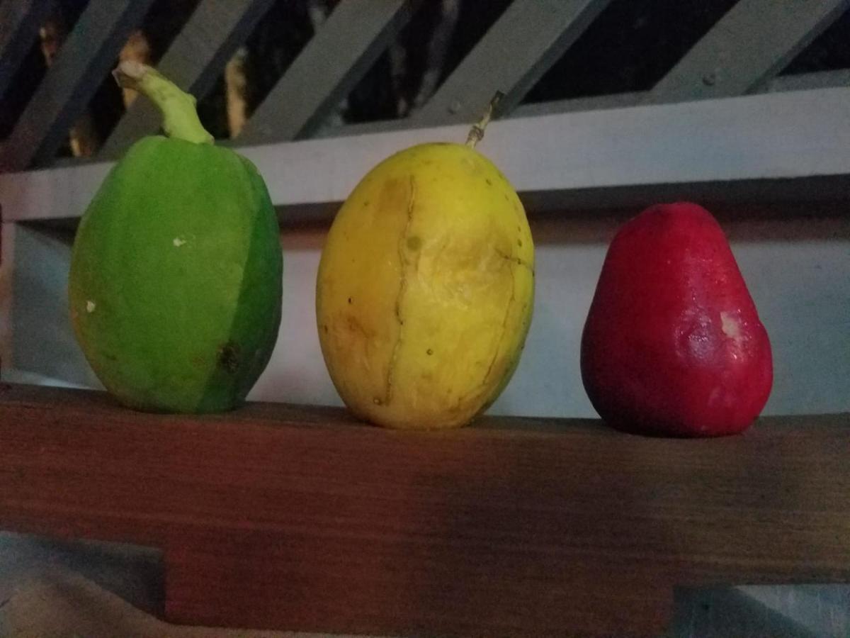 Hotel El Colibri Rojo - Cabinas - Le Colibri Rouge Cahuita Zewnętrze zdjęcie
