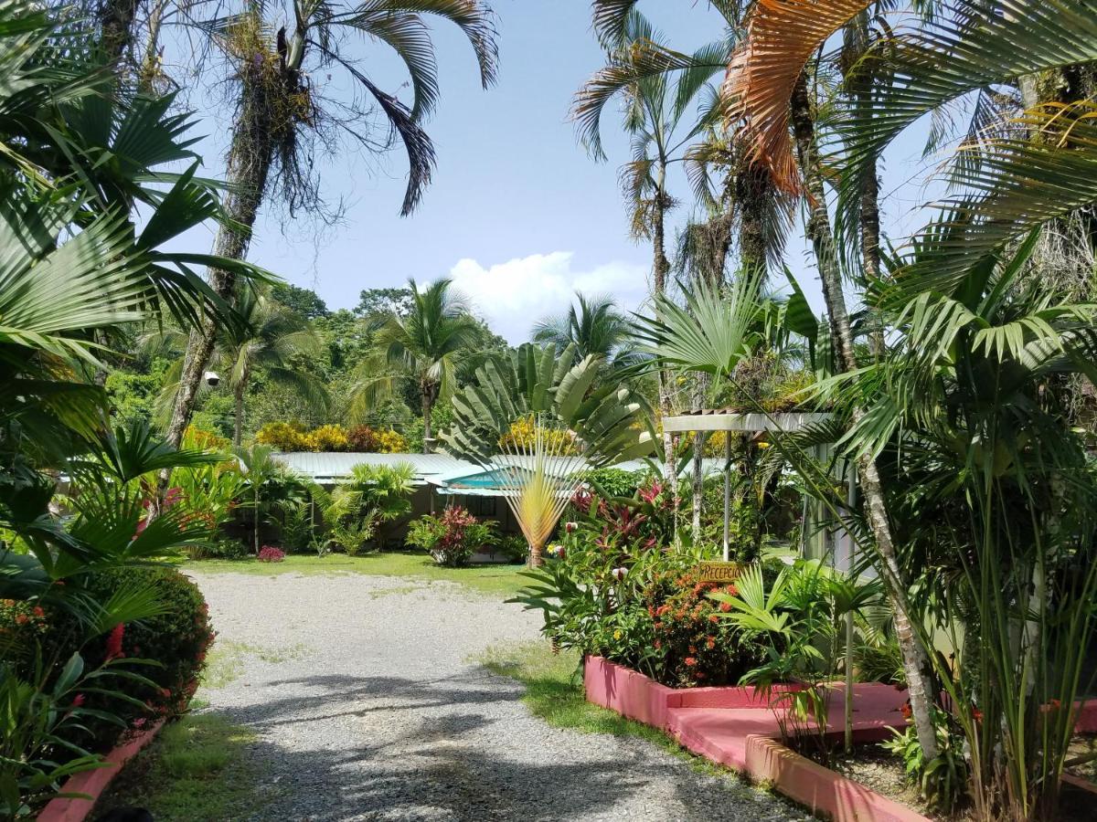 Hotel El Colibri Rojo - Cabinas - Le Colibri Rouge Cahuita Zewnętrze zdjęcie
