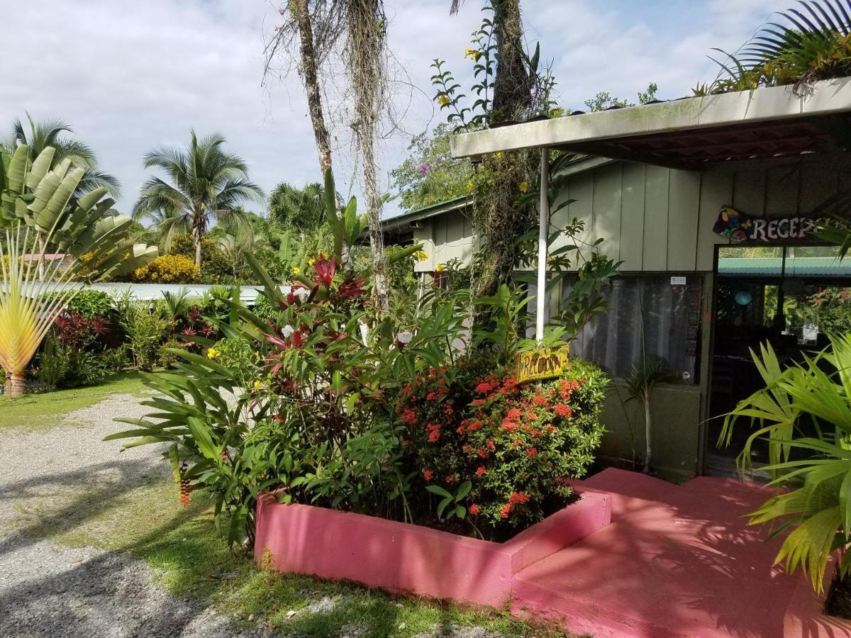 Hotel El Colibri Rojo - Cabinas - Le Colibri Rouge Cahuita Zewnętrze zdjęcie