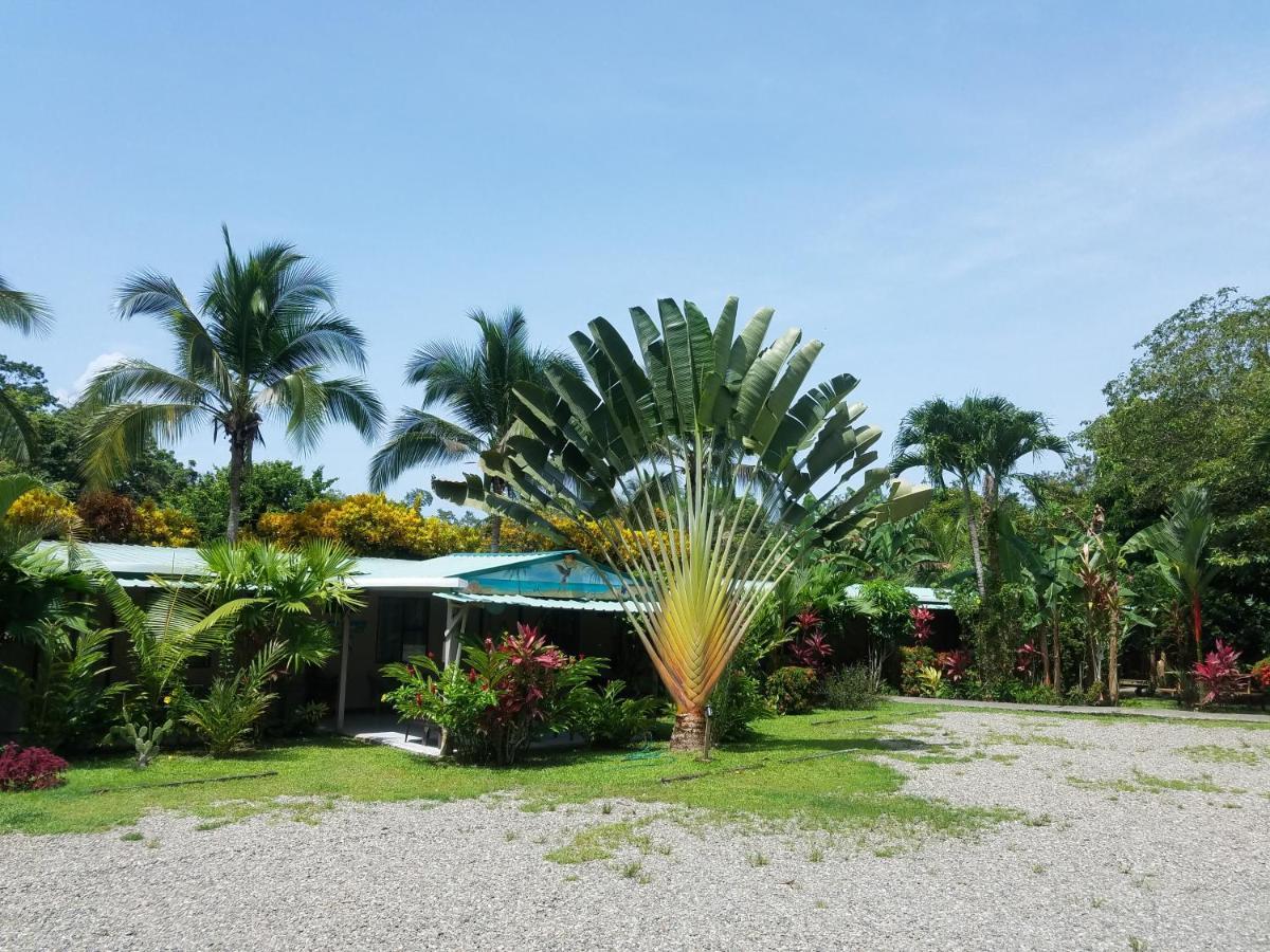 Hotel El Colibri Rojo - Cabinas - Le Colibri Rouge Cahuita Zewnętrze zdjęcie