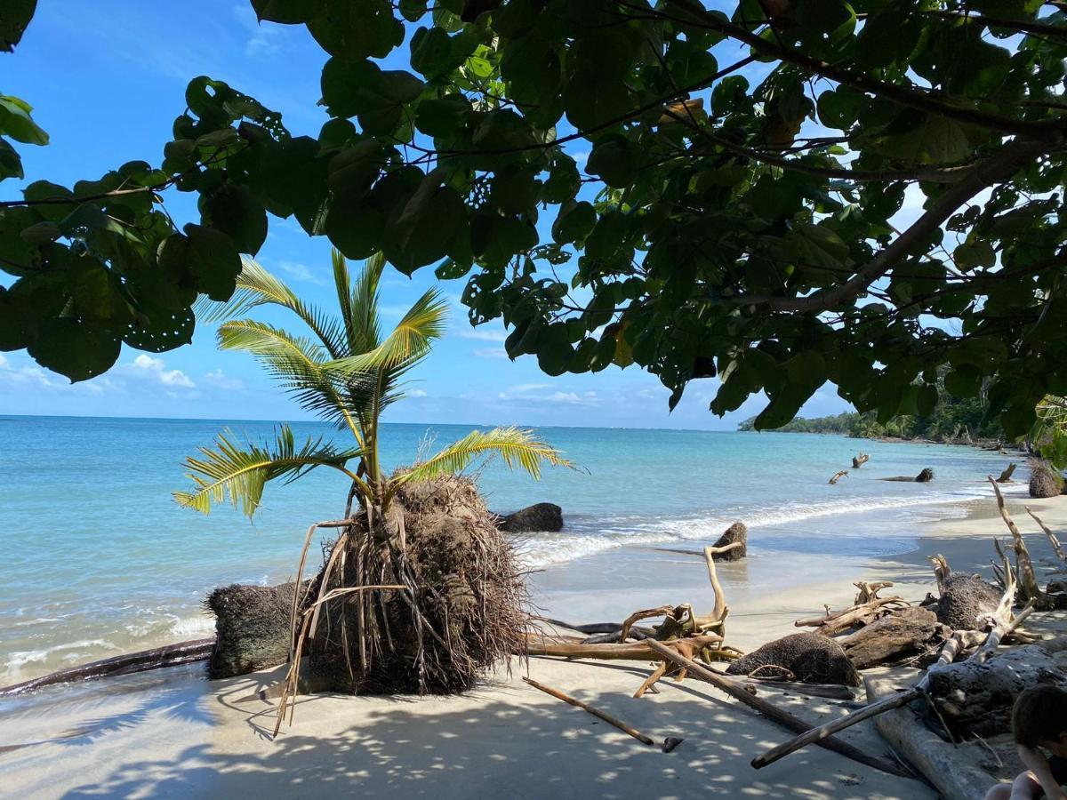 Hotel El Colibri Rojo - Cabinas - Le Colibri Rouge Cahuita Zewnętrze zdjęcie