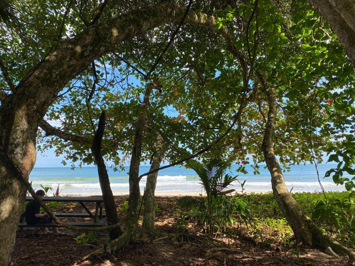 Hotel El Colibri Rojo - Cabinas - Le Colibri Rouge Cahuita Zewnętrze zdjęcie