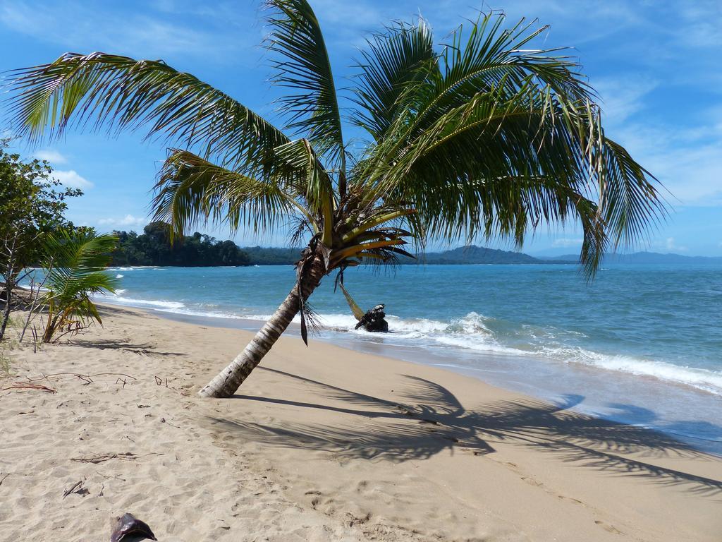 Hotel El Colibri Rojo - Cabinas - Le Colibri Rouge Cahuita Zewnętrze zdjęcie